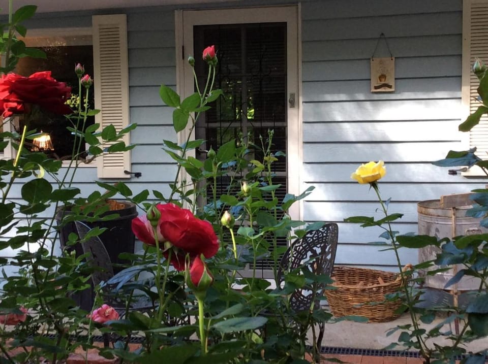 Aldgate Valley Bed and Breakfast Vacation rental in Adelaide