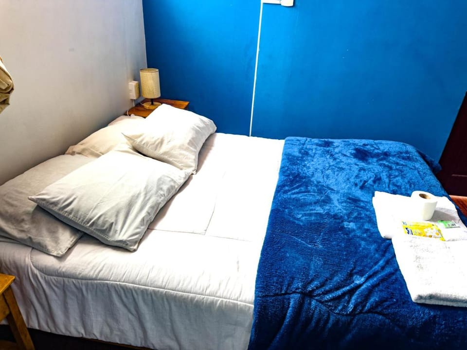 Lobo Hostel La Paz Bed and Breakfast in La Paz