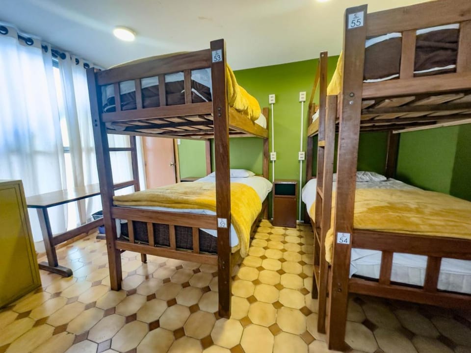 Lobo Hostel La Paz Bed and Breakfast in La Paz