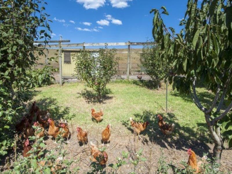 The Farm House Vacation rental in Johanna
