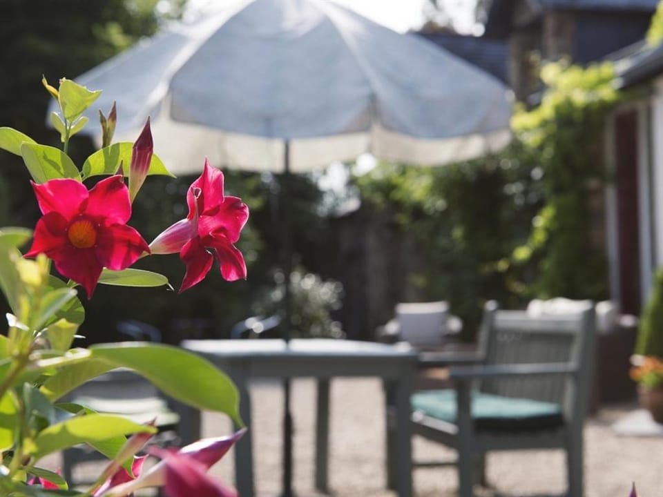 La Marmoire Bed and Breakfast in Brittany