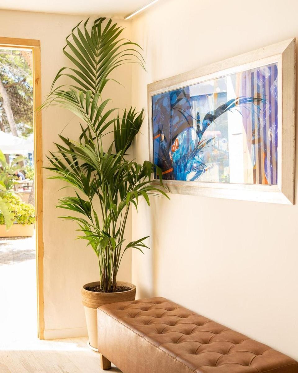Sitges Beach Hostal Bed and Breakfast in Sitges