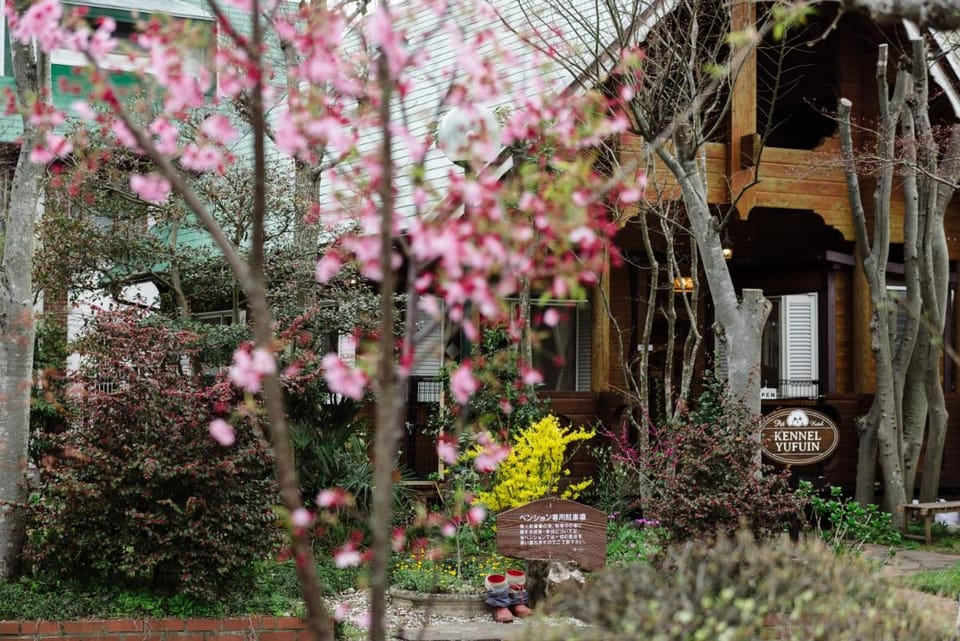 Pension Yufuin Bed and Breakfast in Japan