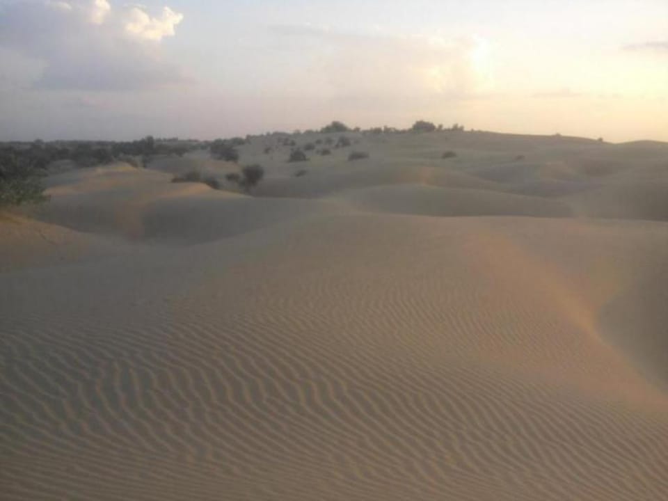 Chandani Desert Resort and Camp Campground/ 
RV Resort in Rajasthan