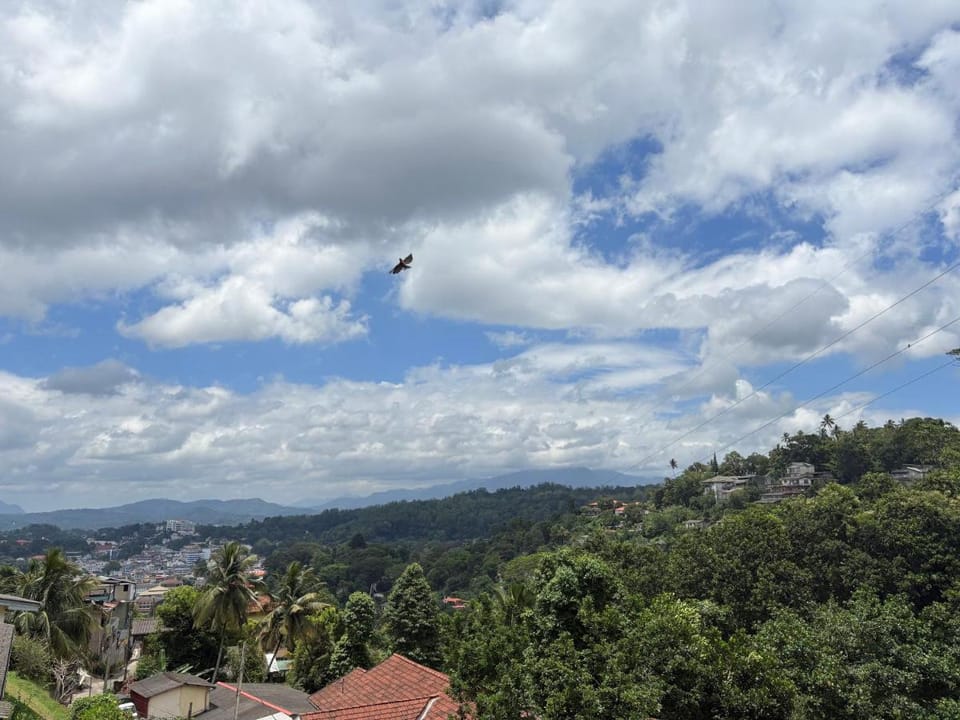 Bethel Rest Homestay Bed and Breakfast in Kandy