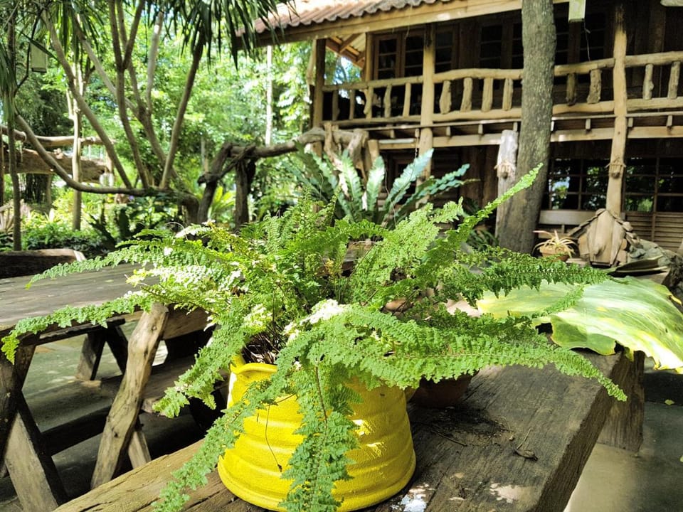 Baanmai Phaipa House Vacation rental in Thailand