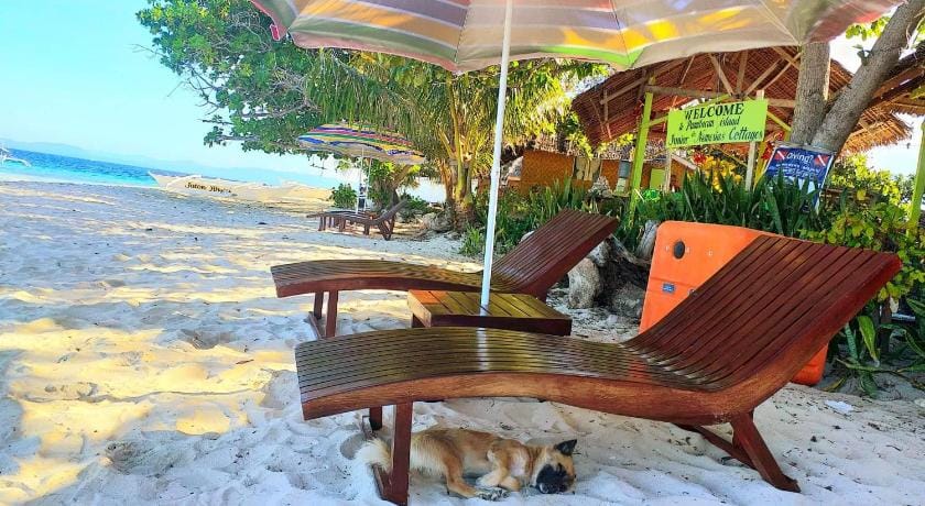 Junior and Nemesia Cottages Vacation rental in Central Visayas