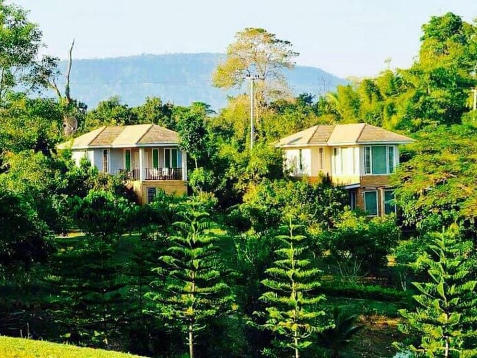 Khaoyai Nature Retreat Resort in Laos