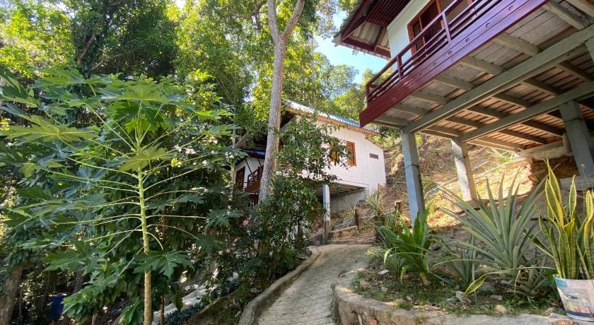 White Rose Guesthouse Bed and Breakfast in Sihanoukville