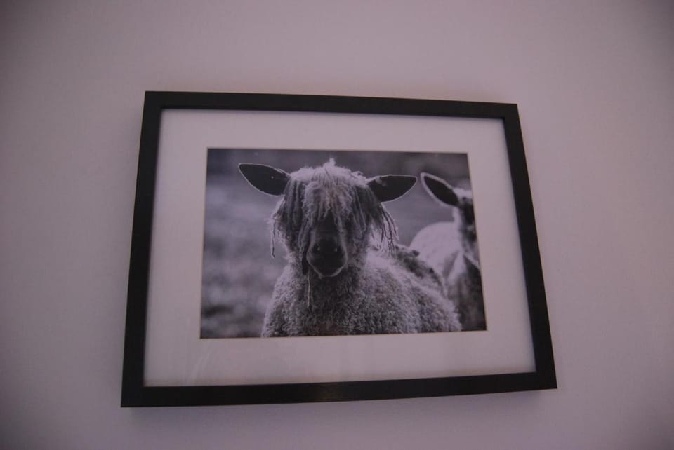 Hare & Hounds Bed & Breakfast Bed and Breakfast in Rother District