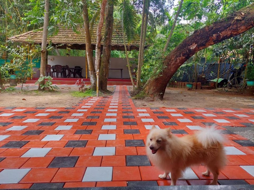 Marari Beach House Vacation rental in Kerala