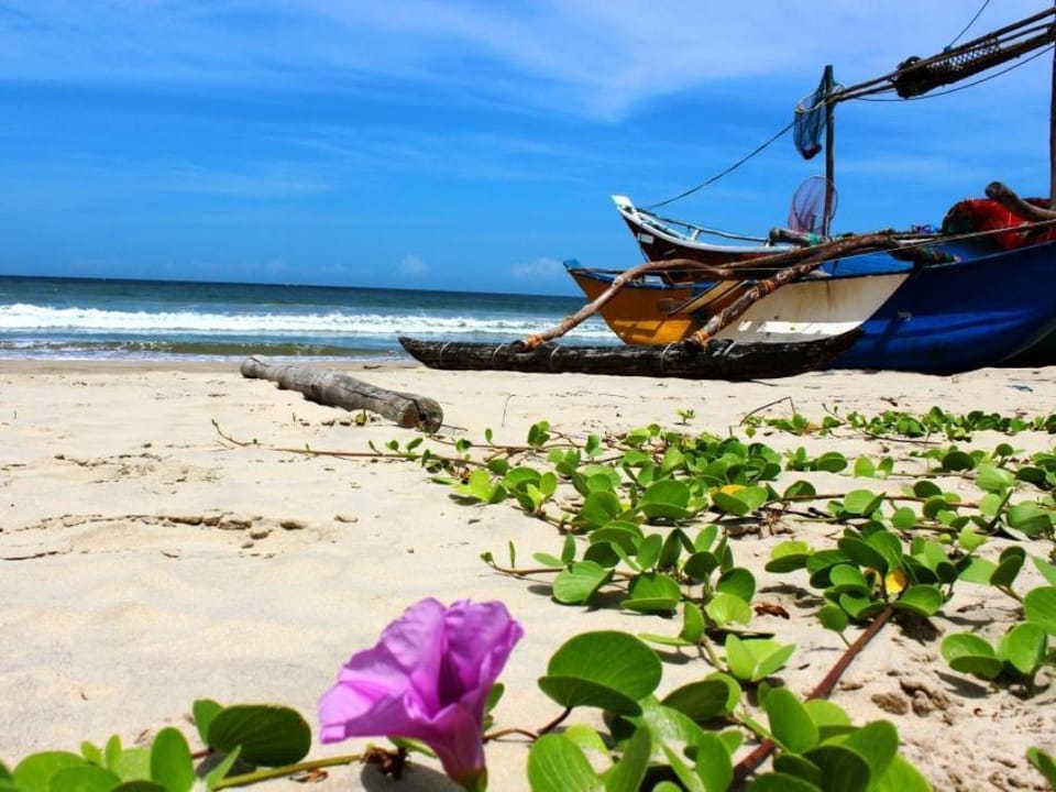 Casa Tangalle Vacation rental in Southern Province