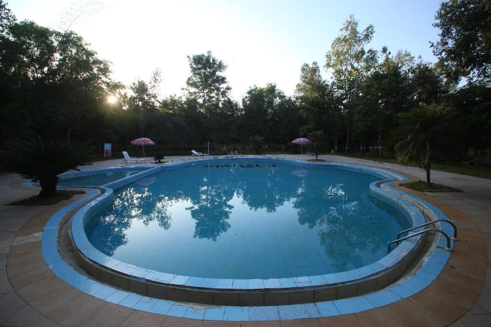 Mogli Jungle Resort Hotel in India