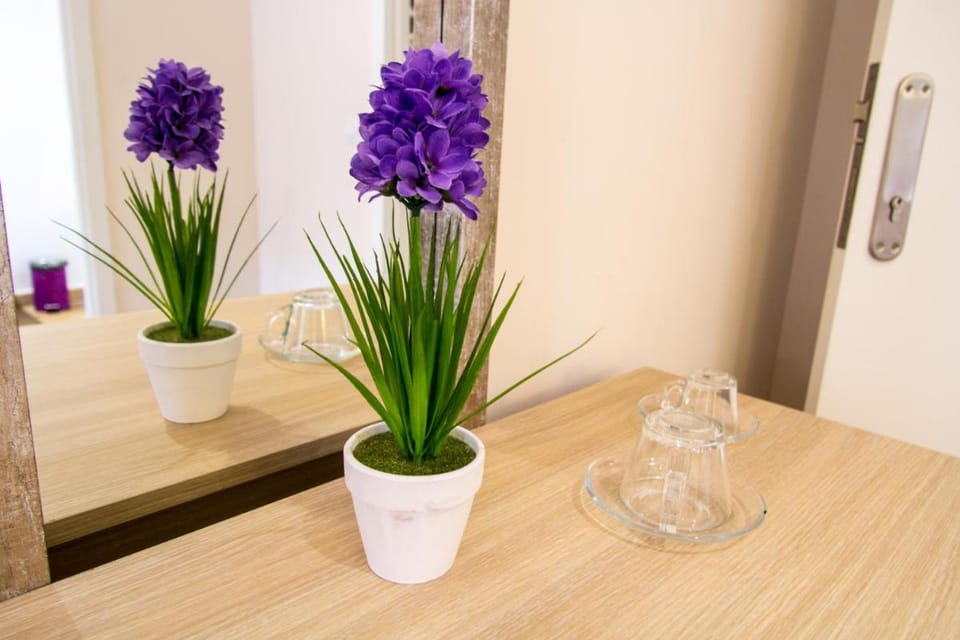 Hostal Barcelona Travel Bed and Breakfast in Barcelona