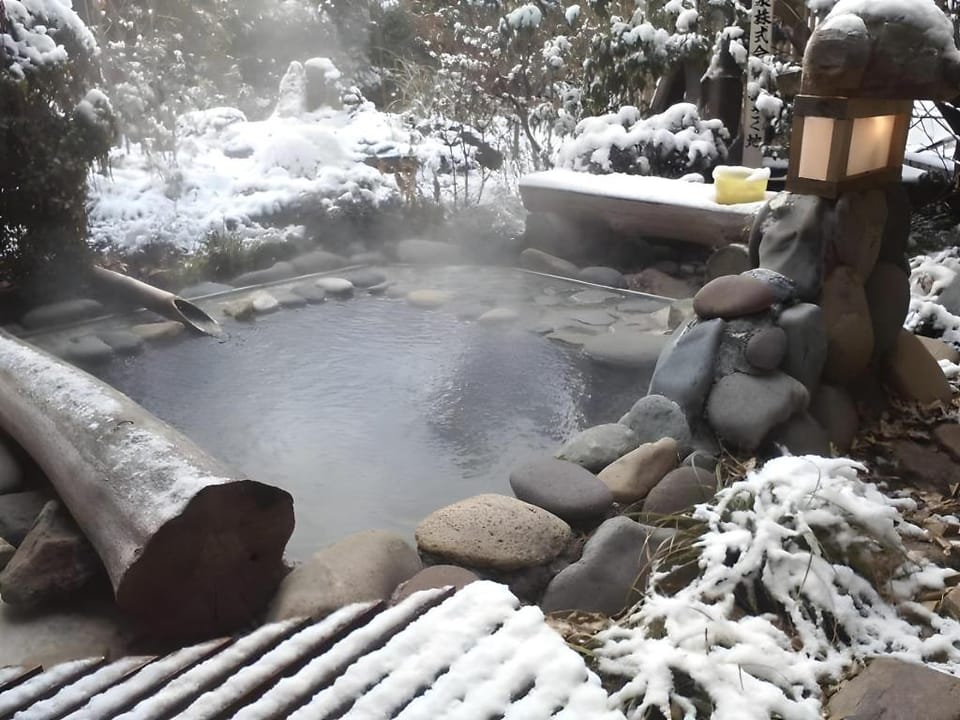 Kamesei Ryokan Ryokan in Nagano Prefecture