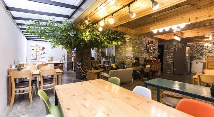 Twin Rabbit Guesthouse Hostel in Seoul