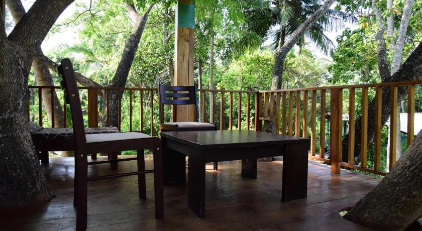 Wilpattu Tree House Bed and Breakfast in Sri Lanka