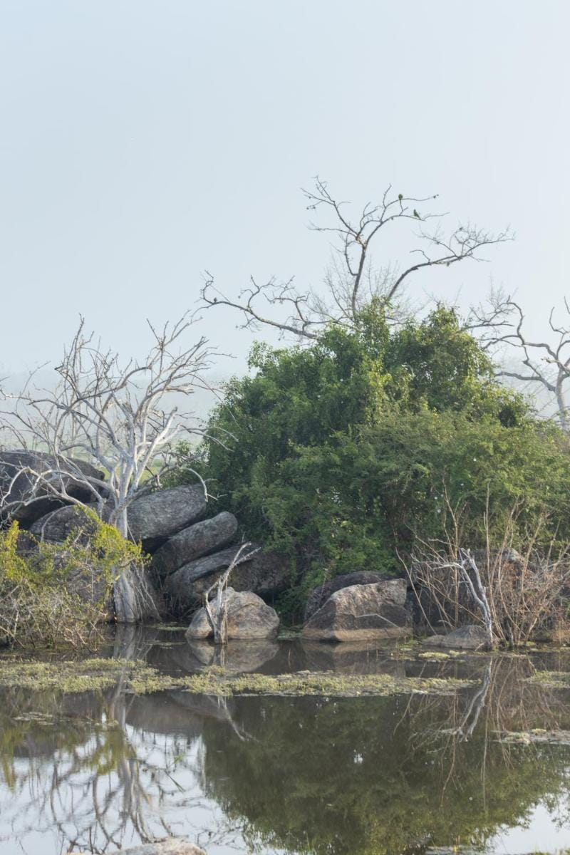 Koragaha Lodge - Yala Lodge in Southern Province