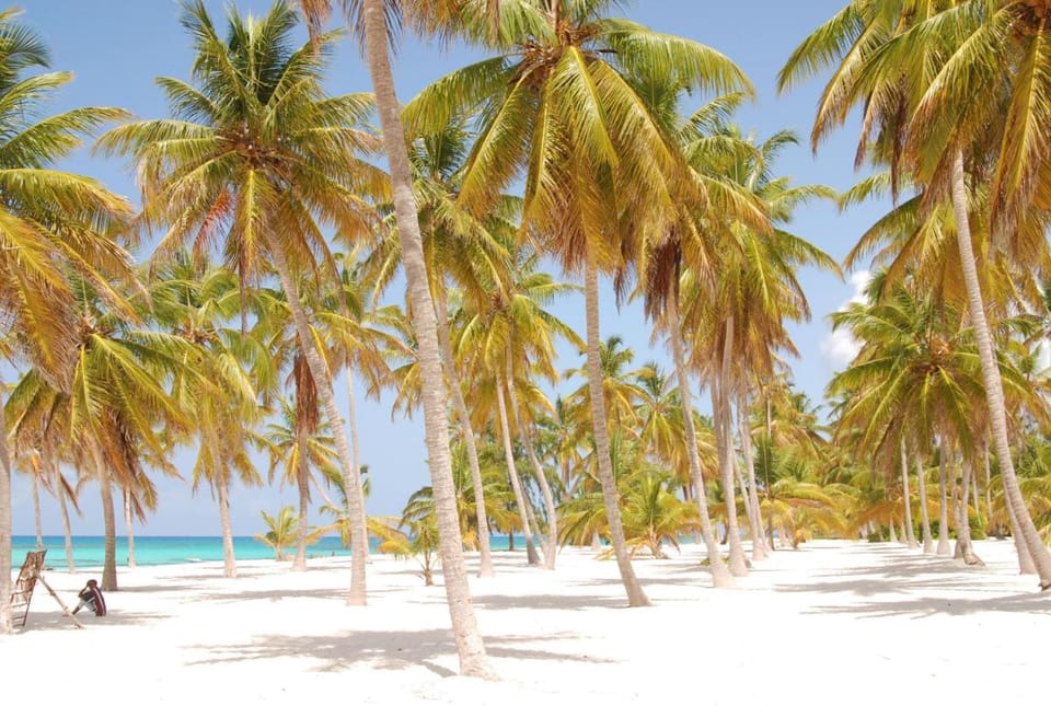 Los Flamencos Aparthotel Beach Club Apartment hotel in Dominicus