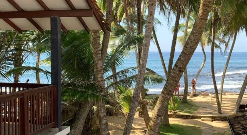 Curry Bowl Restaurant & Turtles Rest Bed and Breakfast in Hikkaduwa