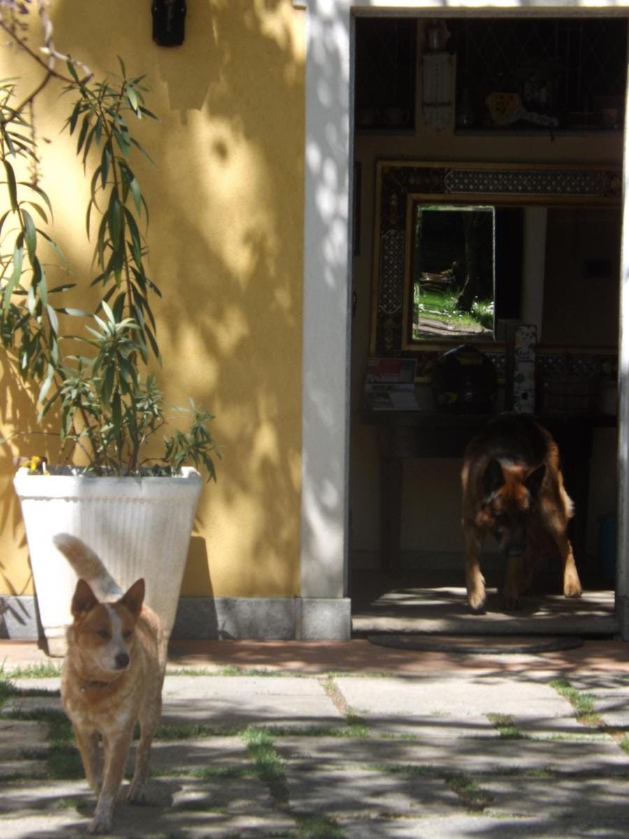 Villa Mirano Bed & Breakfast Bed and Breakfast in Piedmont