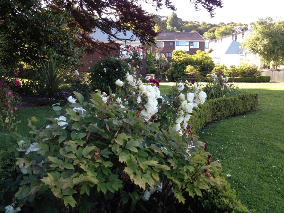Heriot Lane City Apartments Apartment in Dunedin