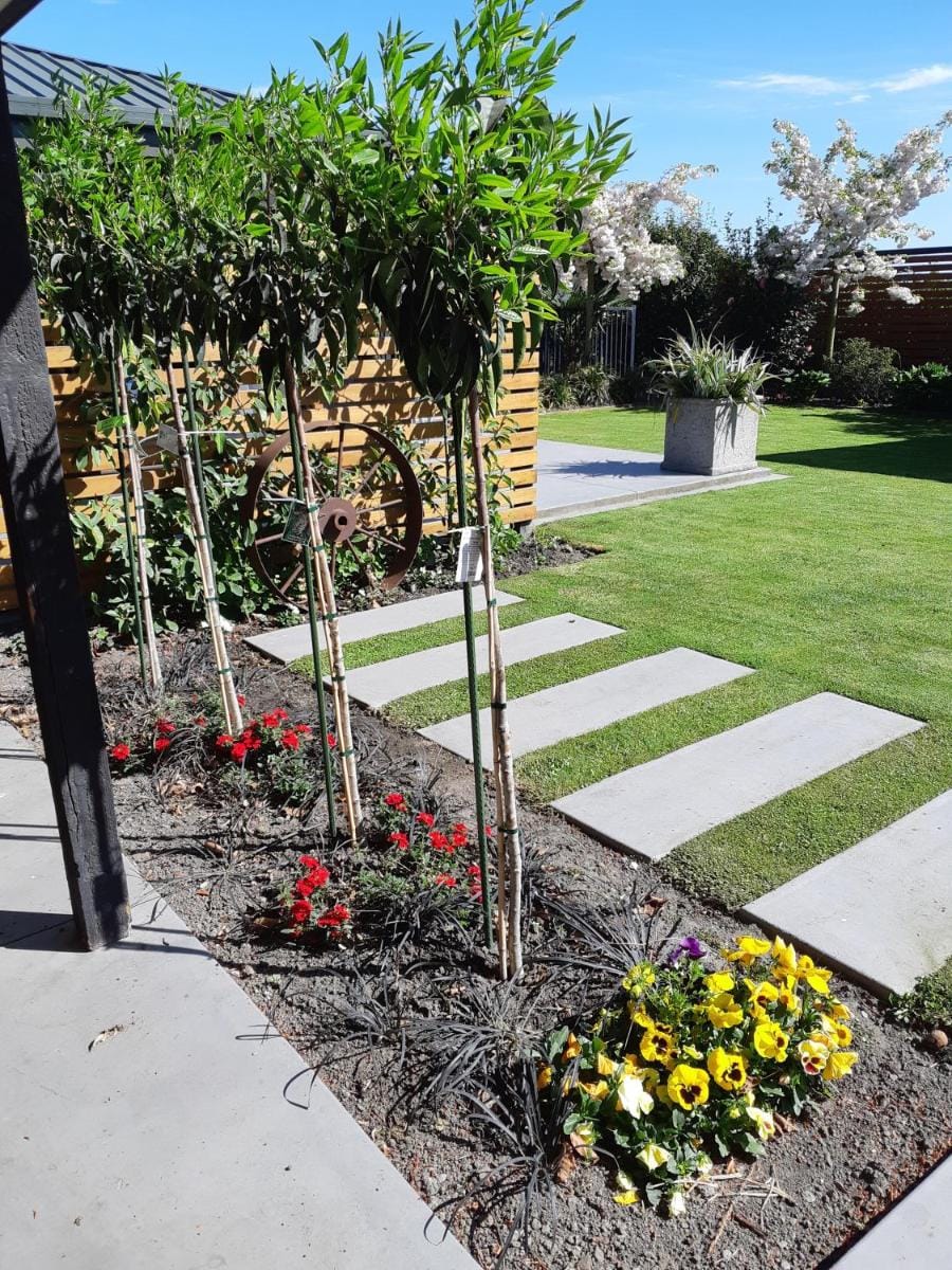 Maples on Harewood Bed and Breakfast in Christchurch