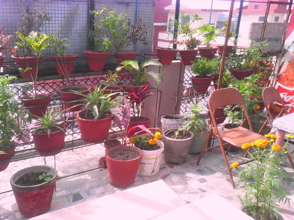 Leela Guest House Hotel in Varanasi