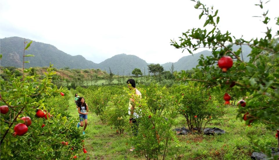 Harvest Fresh Farms Home Stay Vacation rental in Kerala