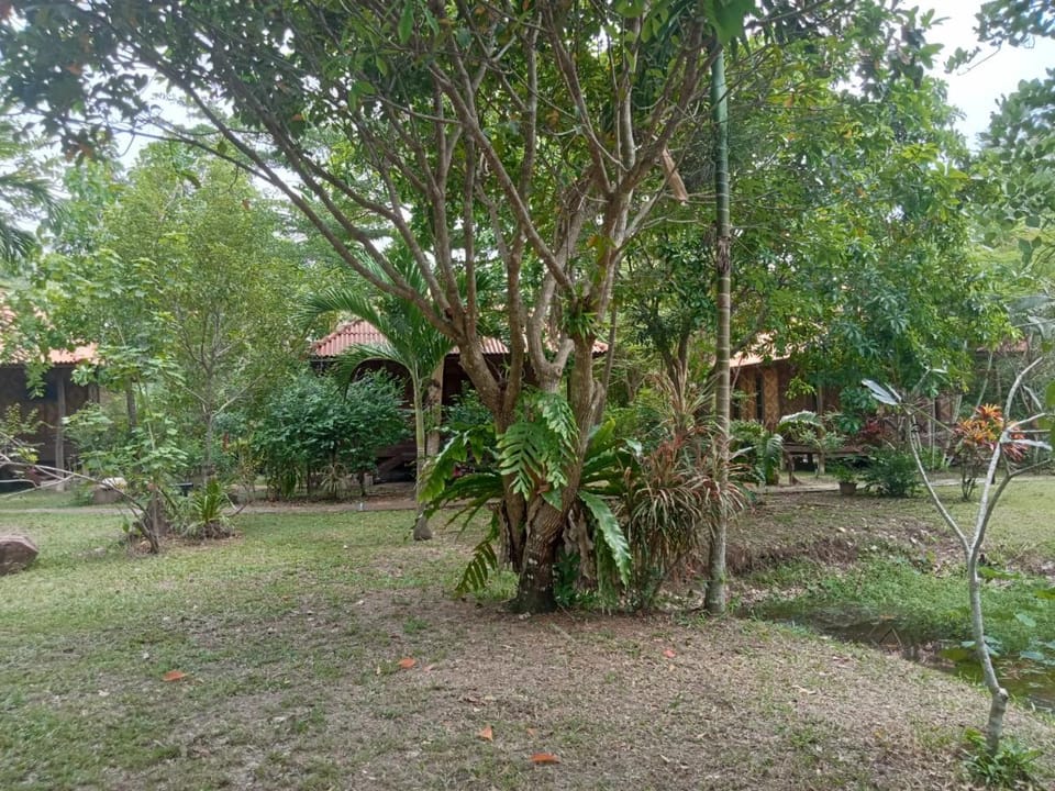 Ban Ban Bangalow Bed and Breakfast in Krabi Changwat