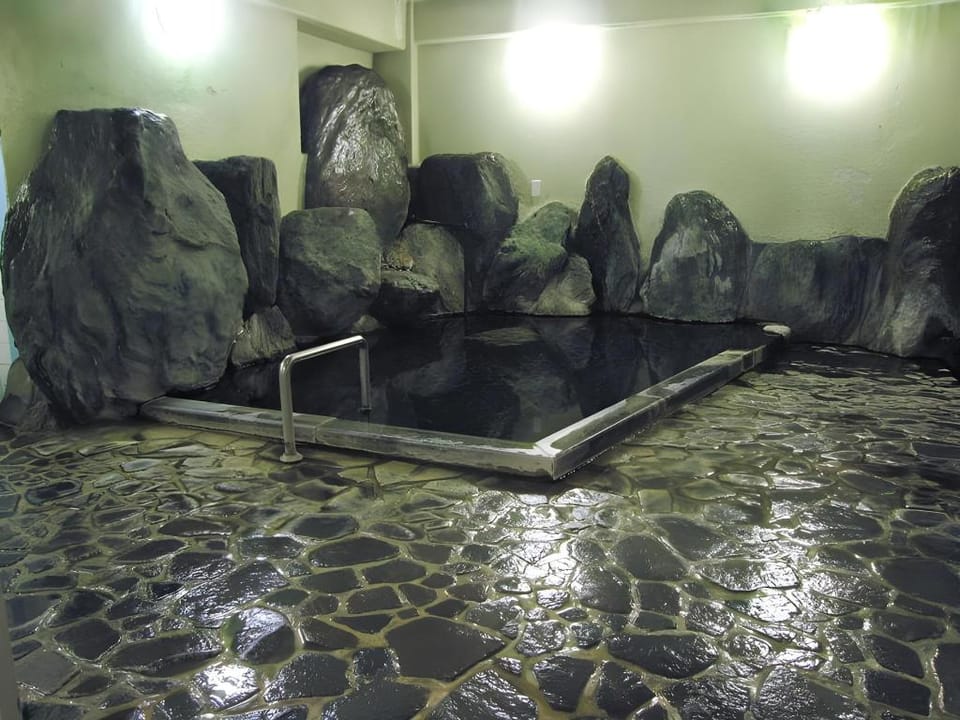 Ryokan Suigou Hotel in Japan