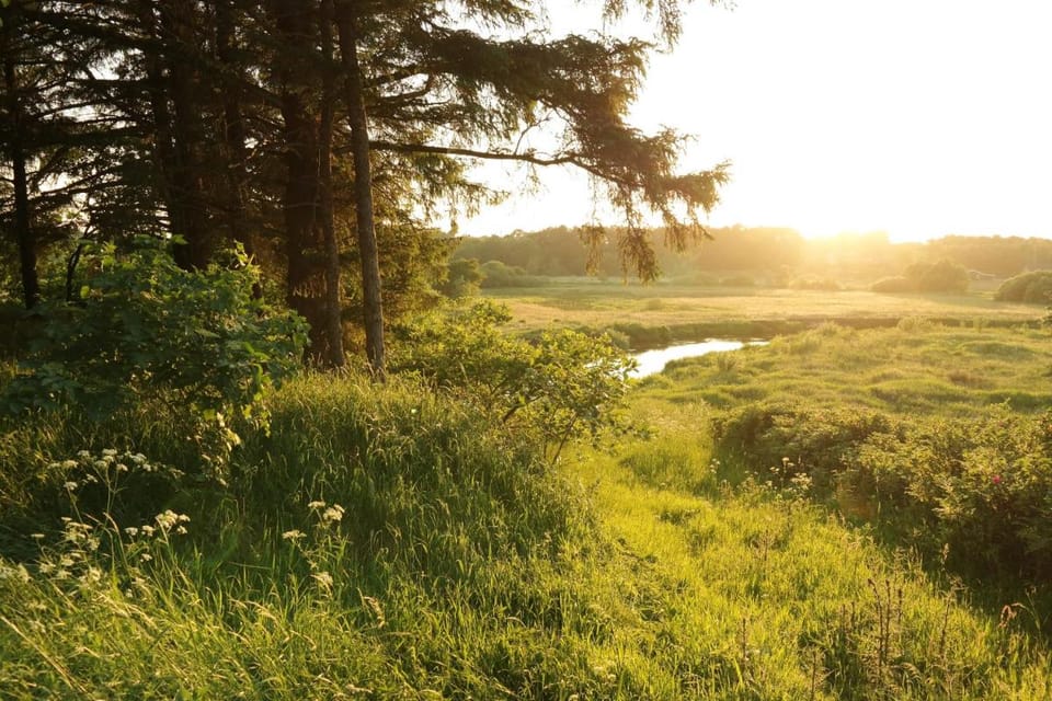 Egebjerggaard Bed & Breakfast Bed and Breakfast in Region of Southern Denmark
