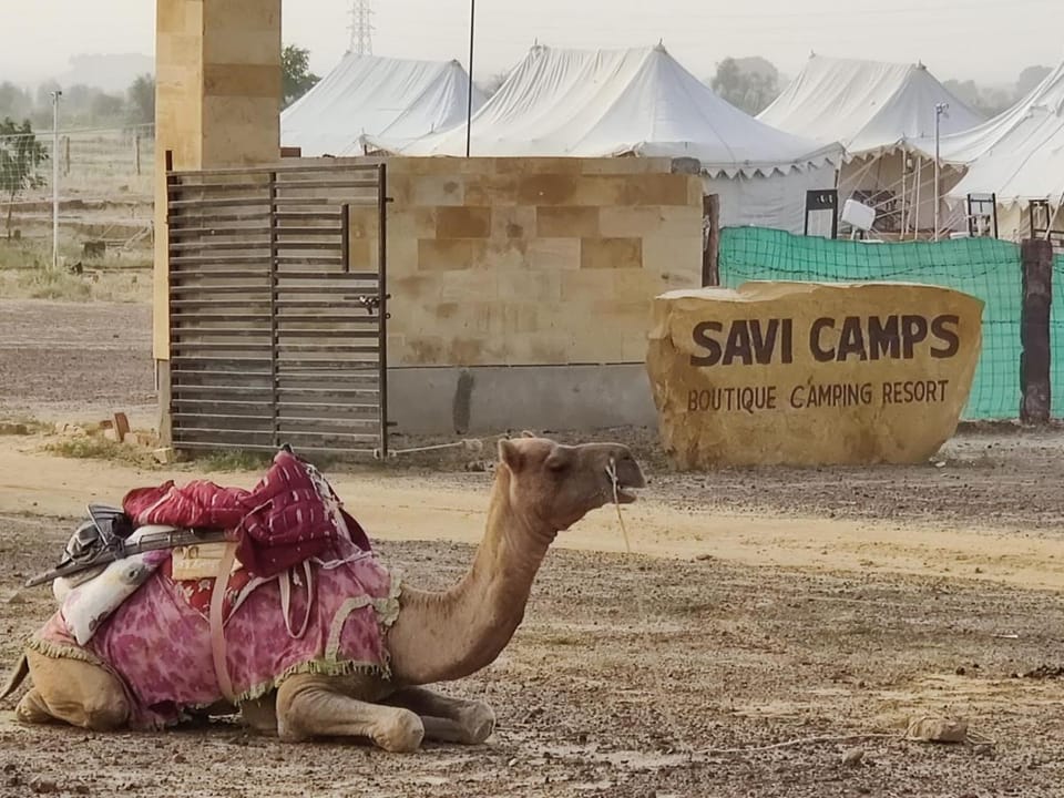 Savi Camps Jaisalmer Luxury tent in Sindh