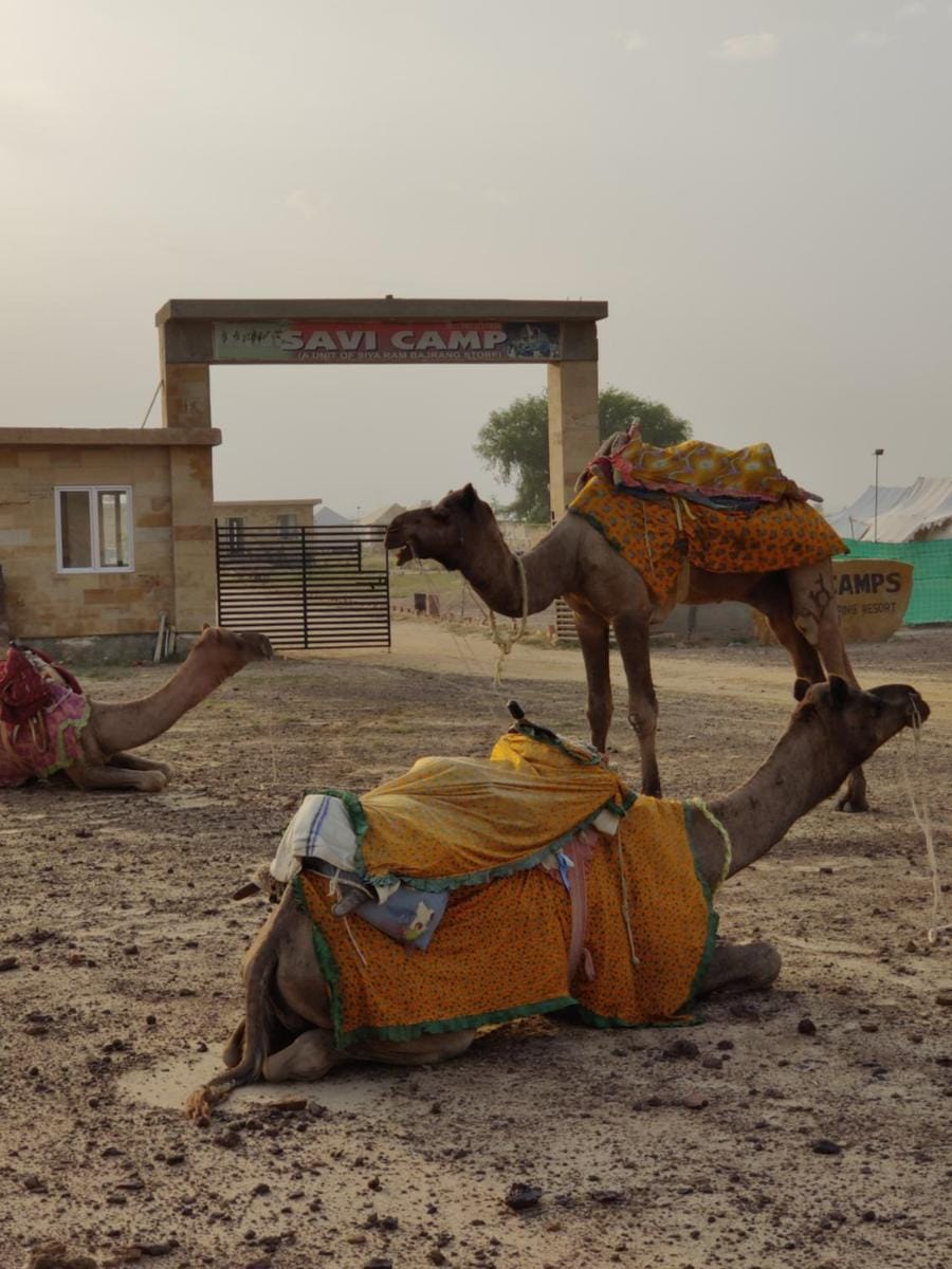 Savi Camps Jaisalmer Luxury tent in Sindh