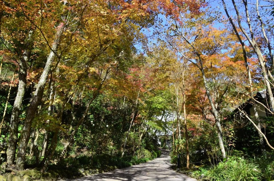 Kurokawa Onsen Oku no Yu Ryokan in Fukuoka Prefecture