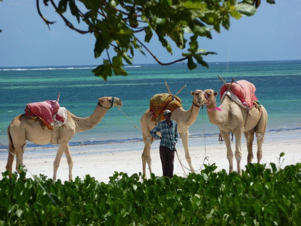 Lantana Galu Beach Resort in Kenya