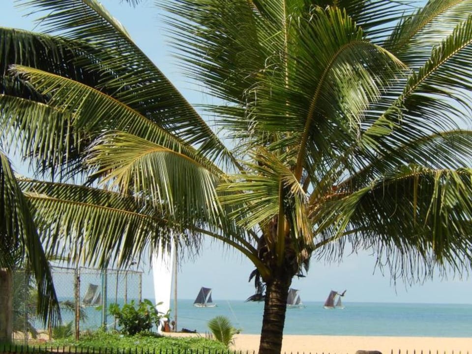 Janishi Residencies Bed and Breakfast in Negombo