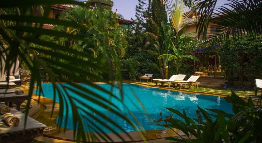 Papa Jolly Eco Resort - Near Morjim Resort in Mandrem