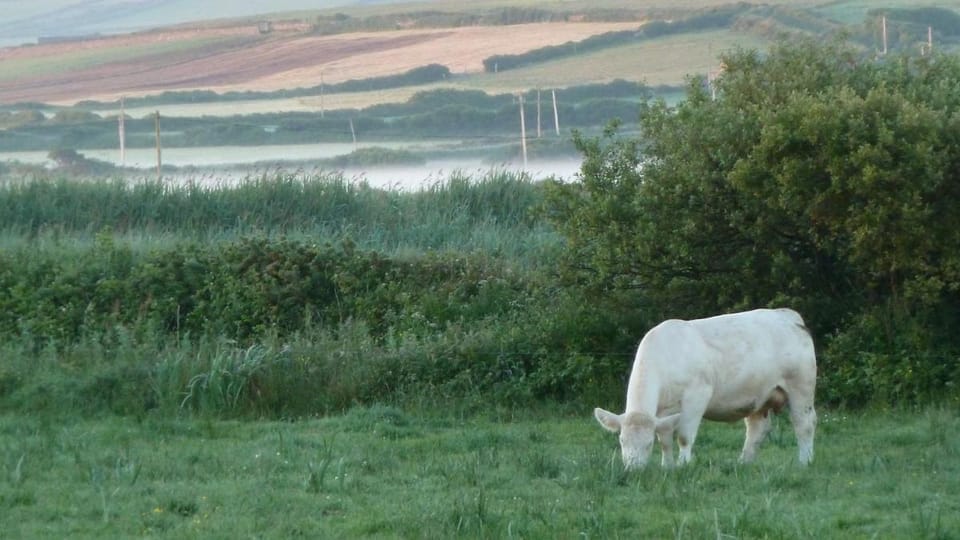 Glencarrig B&B Bed and Breakfast in County Clare