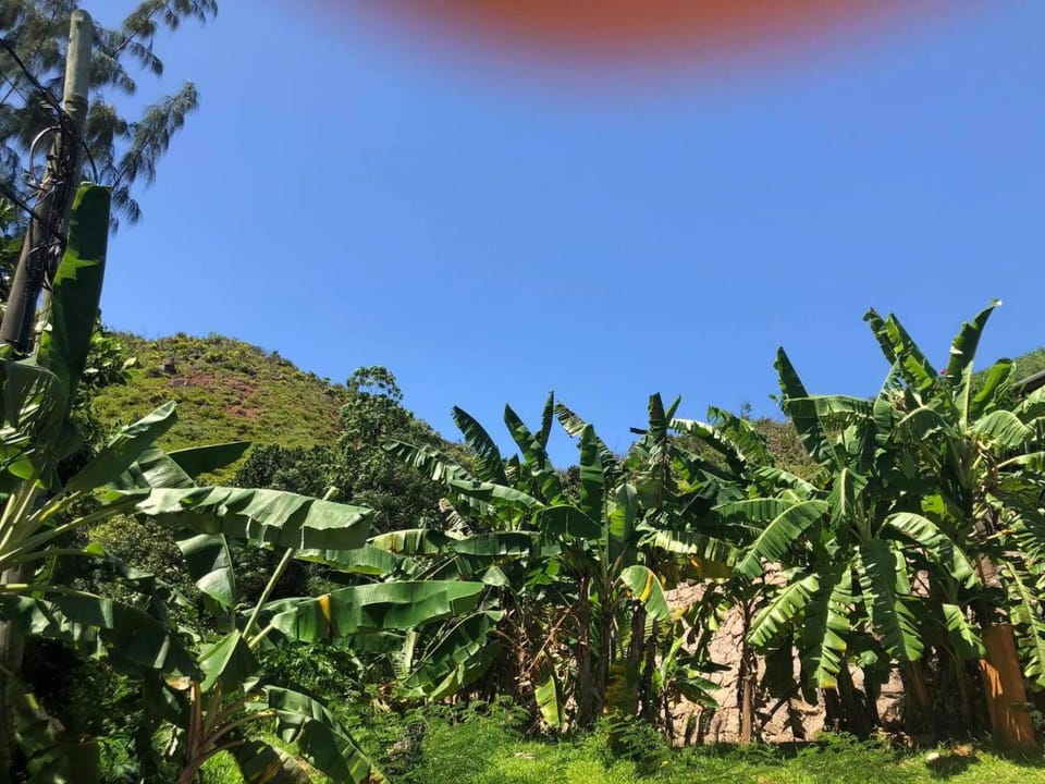 Mirella Villa Vacation rental in Africa