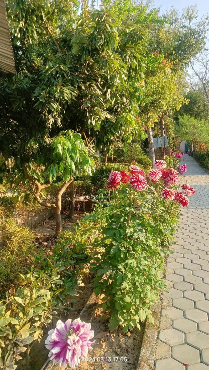 Hotel Butterfly - Peaceful Garden for Nature Lovers Hotel in Bagmati Province, Nepal