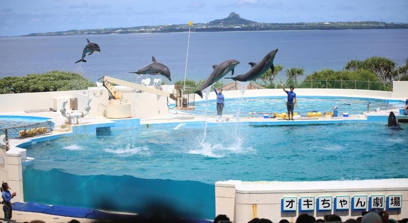 Condominium Uminchu No Yado Apartment in Okinawa Prefecture