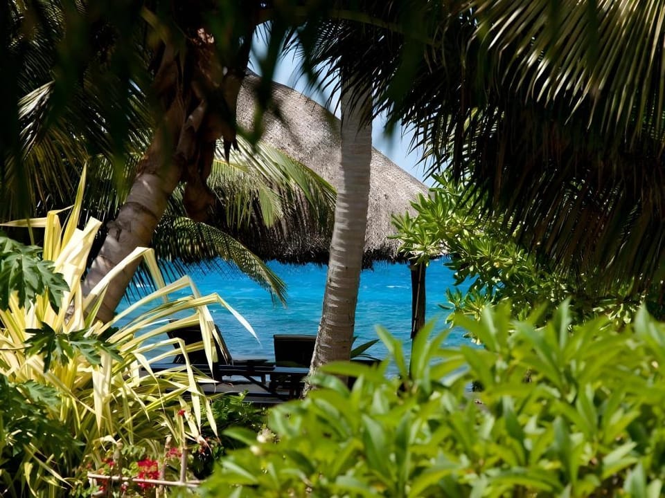Villas du Voyageur Apartment in Africa
