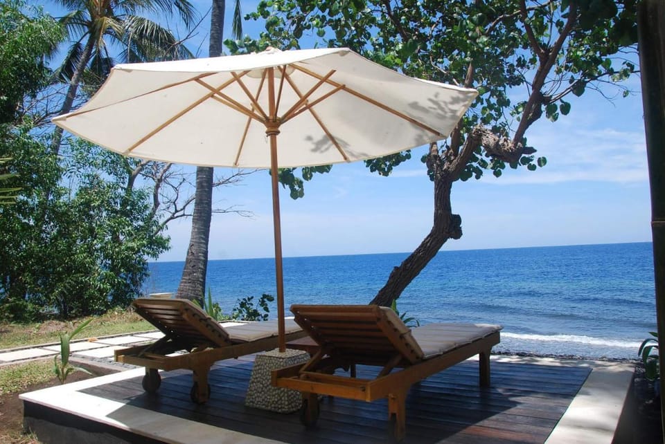 Octopus Villas Villa in Bali