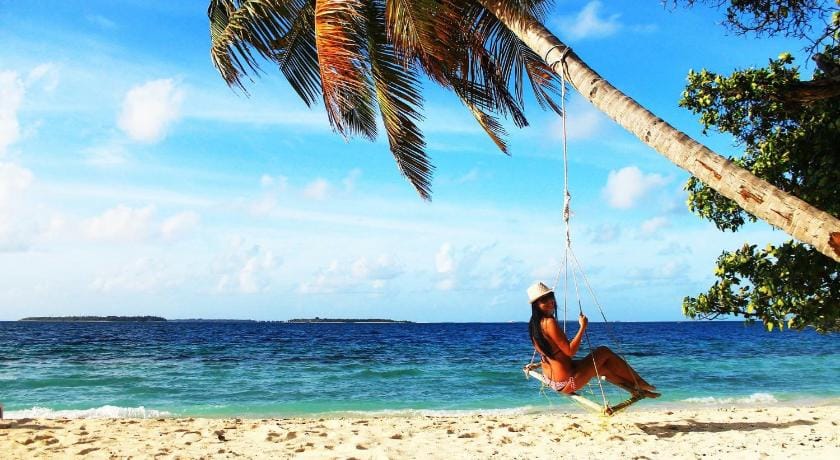 Hanifaru Transit Inn Bed and Breakfast in Maldives