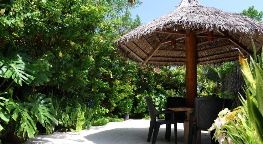 Hanifaru Transit Inn Bed and Breakfast in Maldives