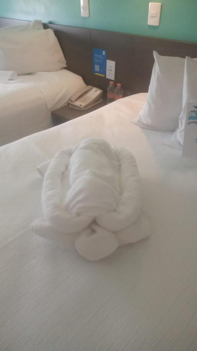 One Periferico Sur Hotel in Mexico City