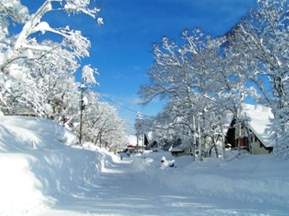 Madarao Elm Pension Bed and Breakfast in Nagano Prefecture