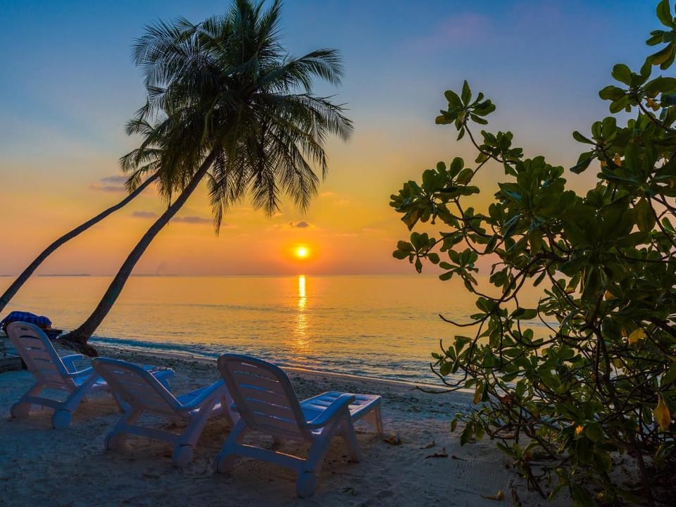 Boutique Beach Guesthouse All Inclusive Diving Hotel Bed and Breakfast in Maldives