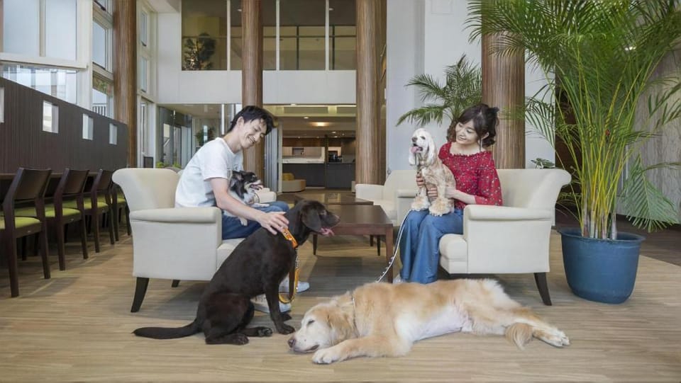 Izu-Kogen Wan Wan Paradise Condominium Hotel in Shizuoka Prefecture